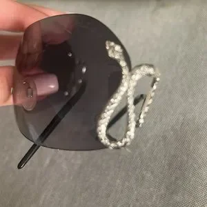 Roberto Cavalli sunglasses. Black lenses with silver snake siding. Sunglasses Roberto Cavalli Mirror Snake Collection in Black  main image 4